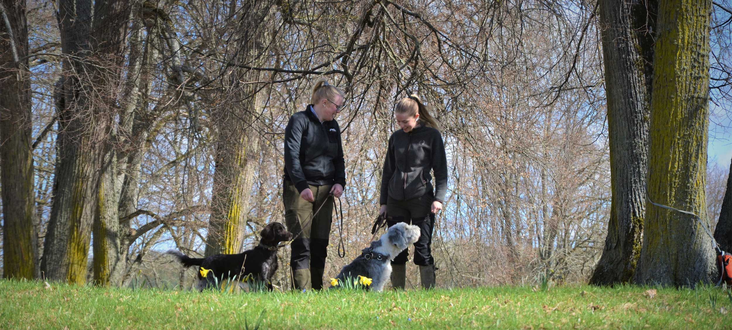 Jakt - Pyrschjakt och drevjakt på Söderö Gård, Linköping Åtvidaberg Östergötland