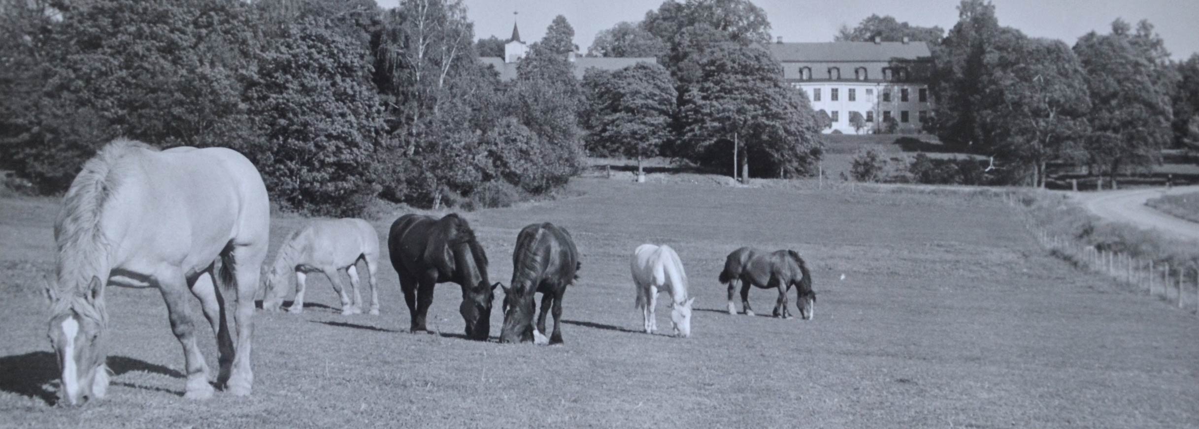 Söderö Gård, Åtvidaberg - Historia med anor från 1400-talet!