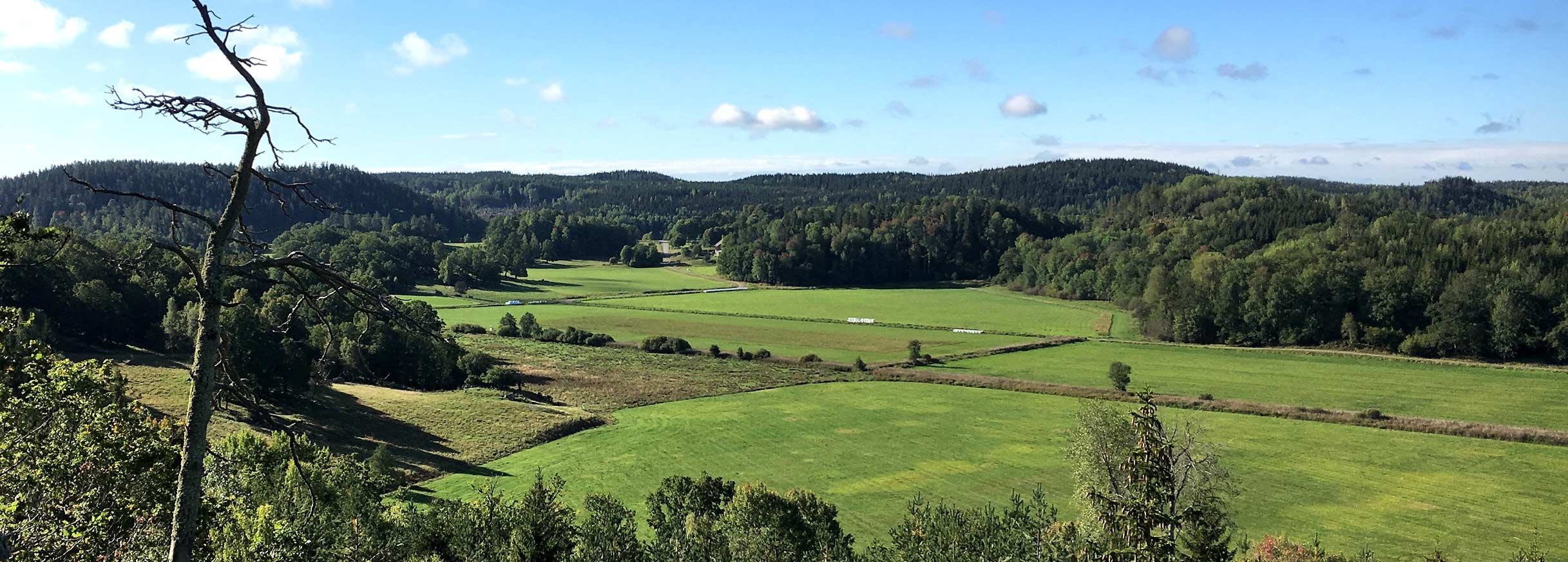 Skog, lantbruk och viltvård på Söderö Gård