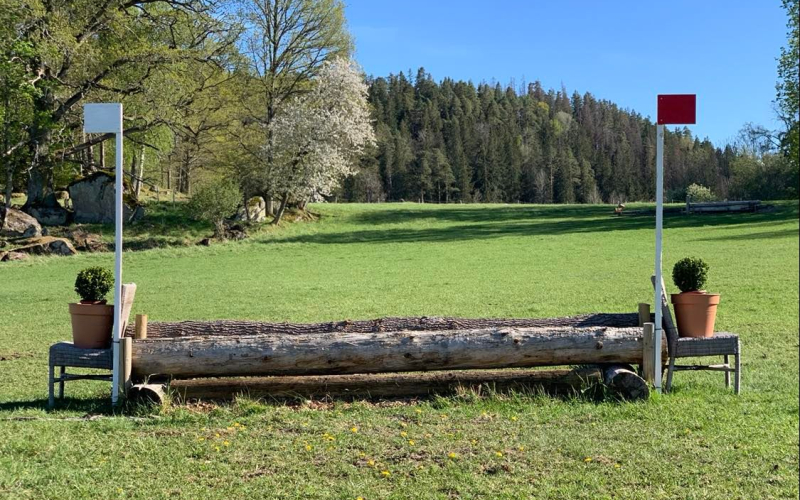 Lilla oxern